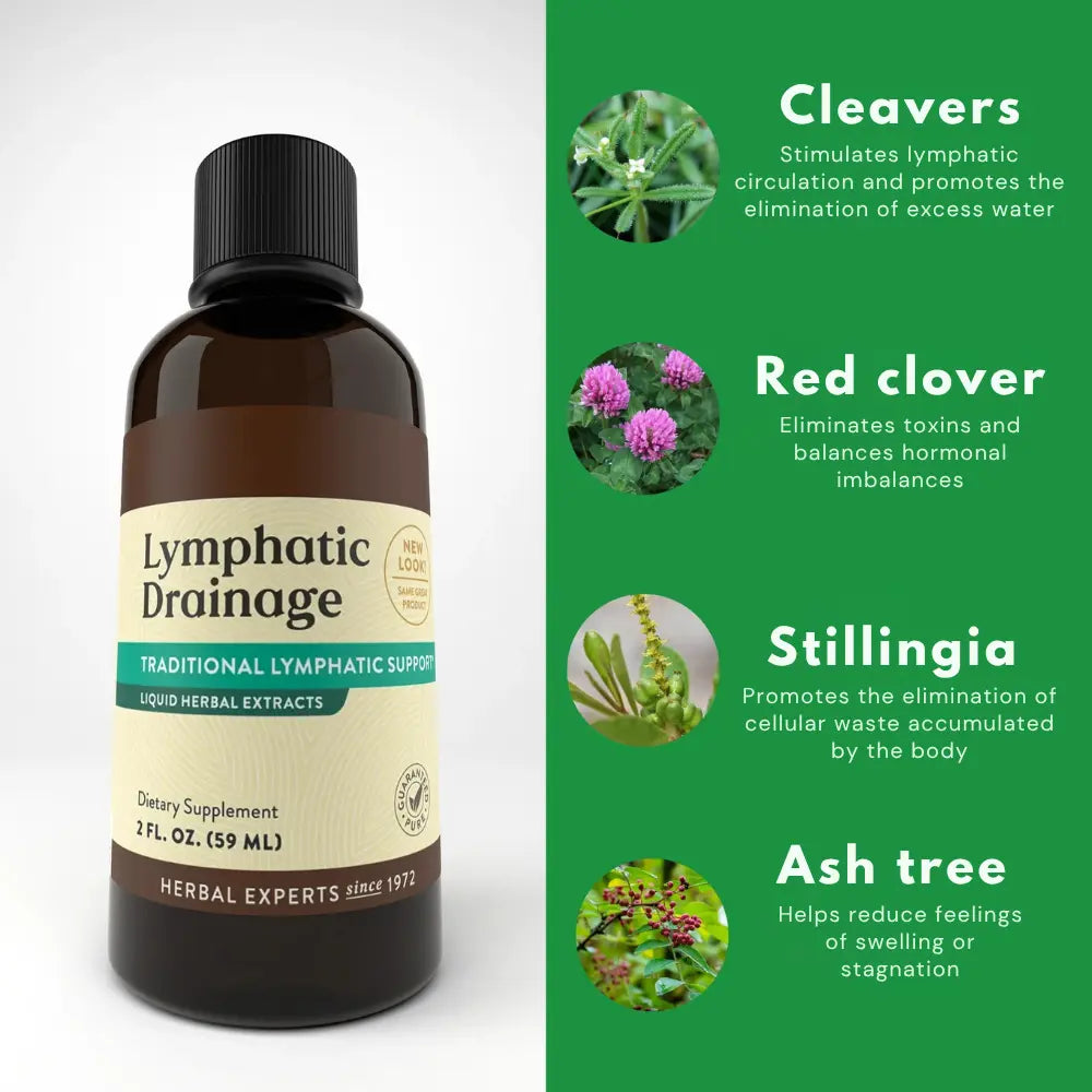 Charmora™ Lymphatic Drainage Drops — Natural Detox for Renewed Vitality