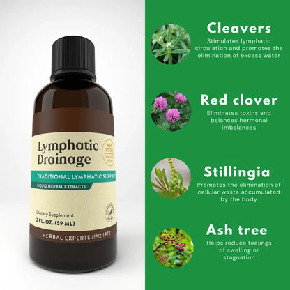 Charmora™ Lymphatic Drainage Drops — Natural Detox for Renewed Vitality